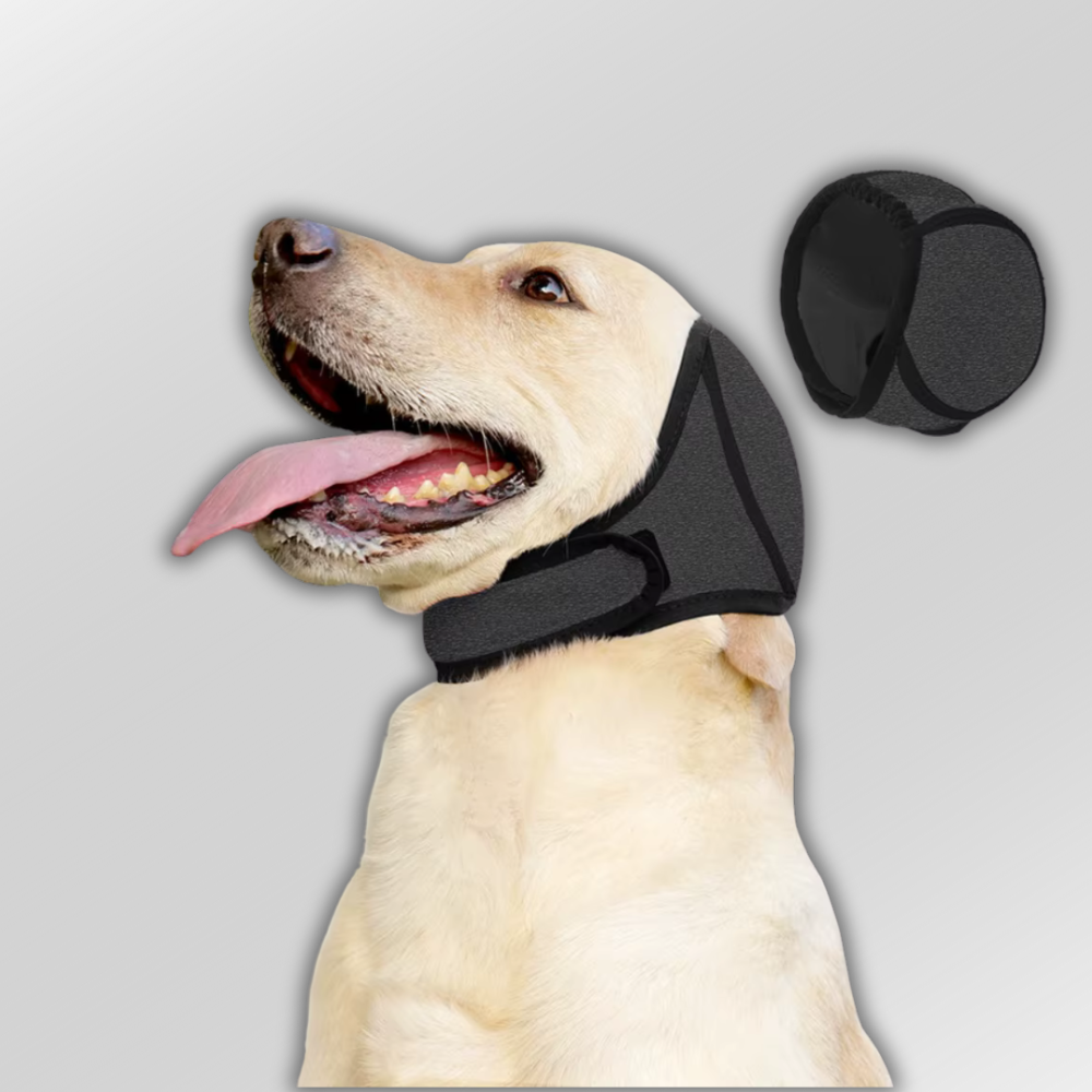 PauCalm - Der smarte Ohrenschutz für sensible Hunde