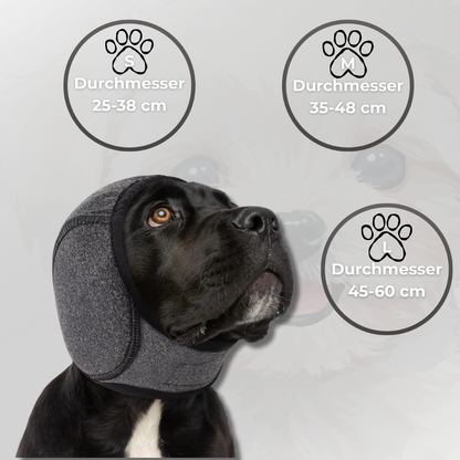 PauCalm - Der smarte Ohrenschutz für sensible Hunde